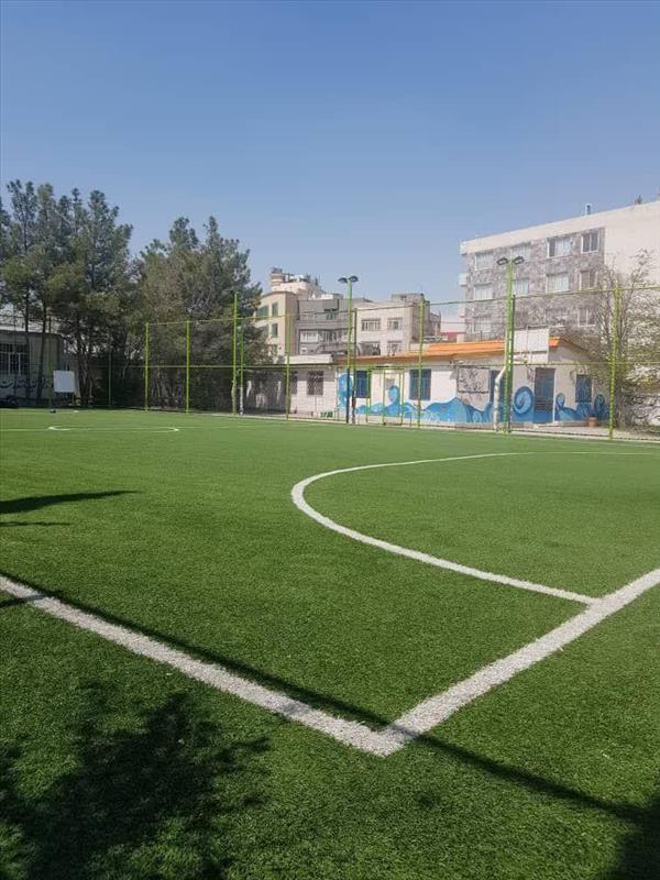 چمن مصنوعی لادن 35
