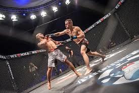 مبارزات ترکیبی MMA